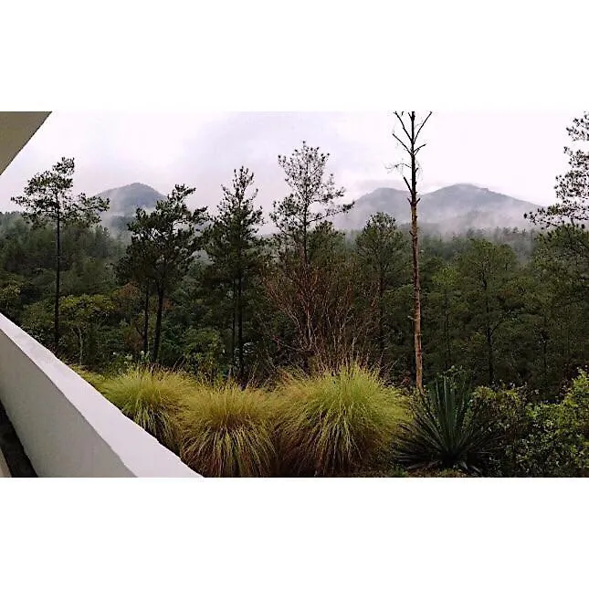 Hotel Diferencia Eco-Retreat San José de Las Matas Dominikánská republika