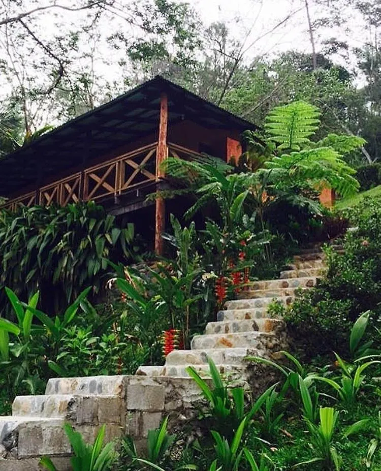 Diferencia Eco-Retreat Hotel San Jose de Las Matas 0*,  Dominican Republic
