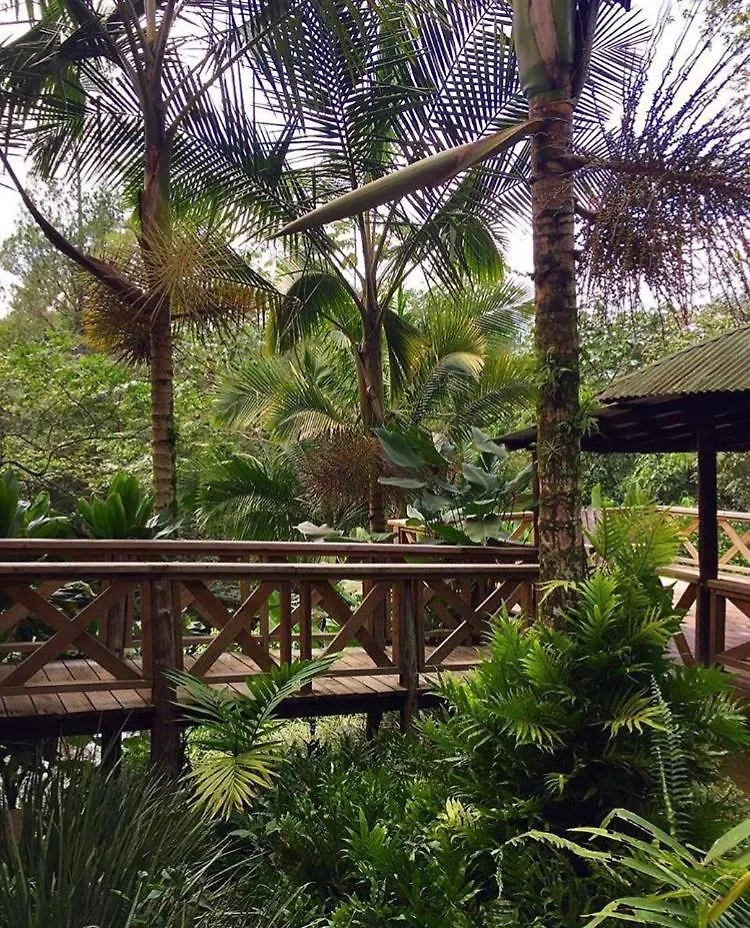 Diferencia Eco-Retreat Hotel San Jose de Las Matas Dominican Republic