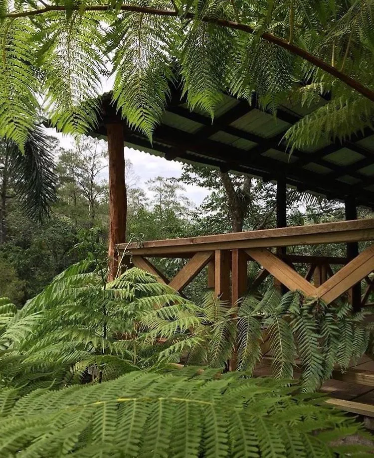 Diferencia Eco-Retreat Hotel San Jose de Las Matas Lodge
